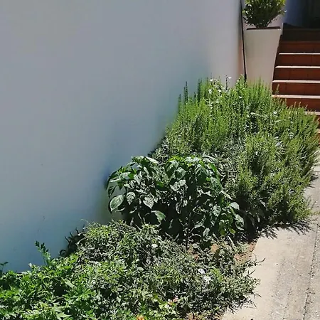 Dimora Marulli Maison d'hôtes Poggiardo